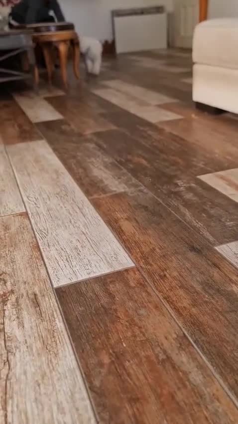 Meticcio cani in regalo: Leo, simil lagotto giocherellone - Video 2