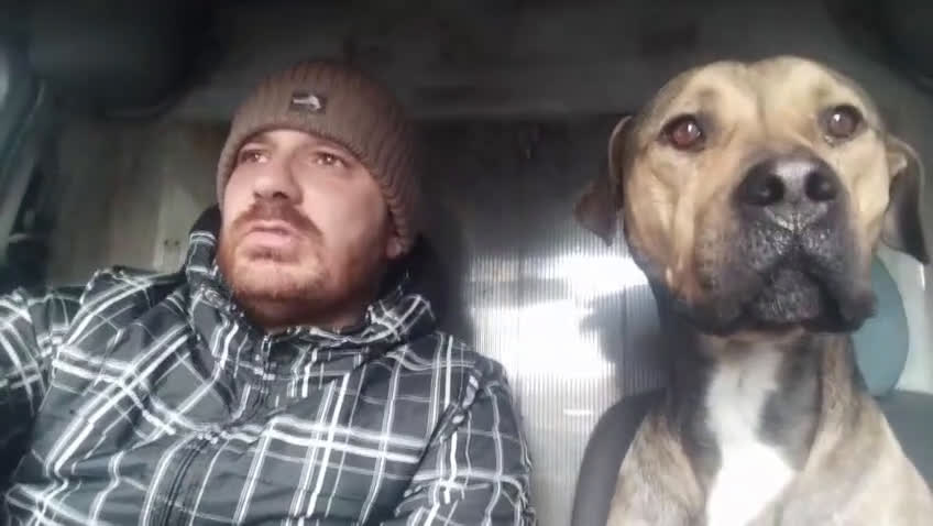 Meticcio cani in regalo: Bobby simil pit fuori, angelo nell anima - Video 2