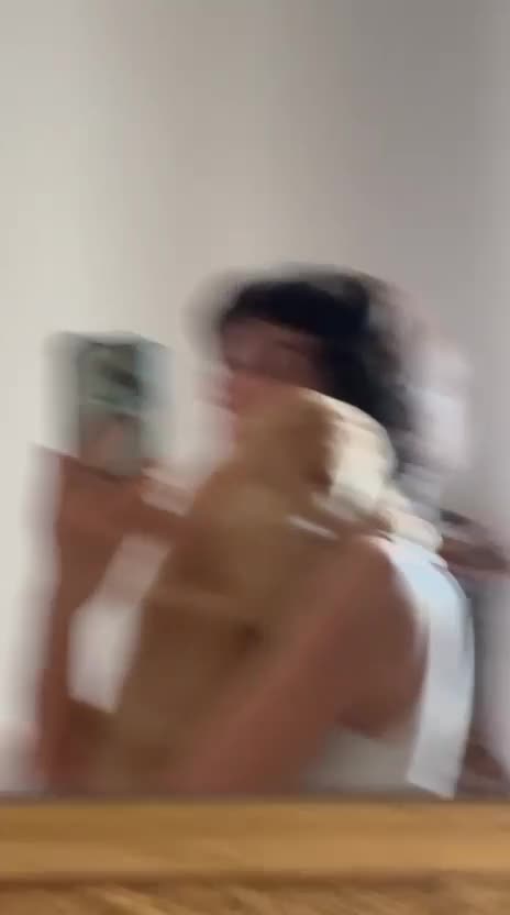 Labrador cani in vendita: Splendidi cuccioli miele di Labrador Retriever a Provincia di Ferrara - Video 1