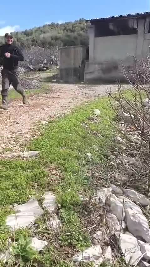 Maltese cani in regalo: Diego, un adorabile maltese - Video 4